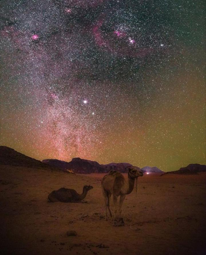 Hotel Bubble Tent & Luxury Camp Wadi Rum Exterior foto